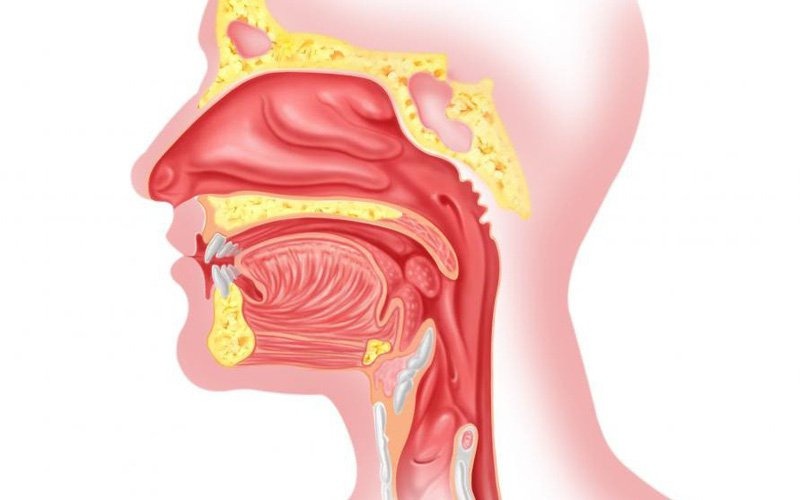 Dấu hiệu nhận biết các bệnh lý tai mũi họng